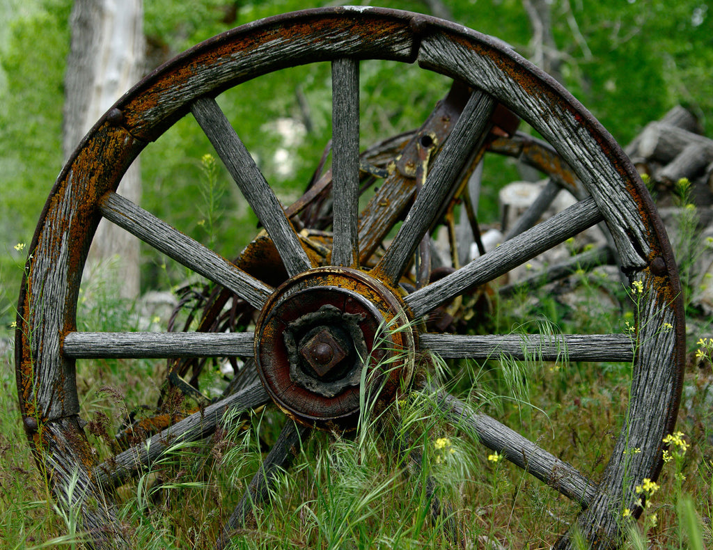 The invention of the humble wheel