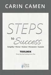 STEPS to Success Toolbox book cover.