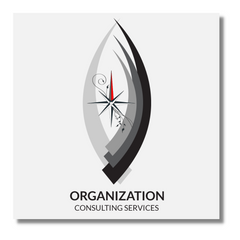 The Next Level Organization Consulting Service