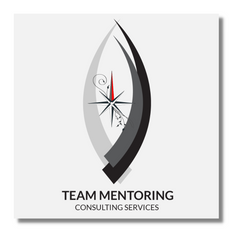 Next Level Team Mentoring Consulting Services
