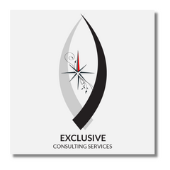 Next Level Exclusive Consulting Services