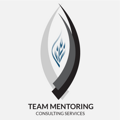 Team Mentoring Consulting Services