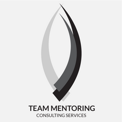 Carin Camen Team Mentoring Consulting Services