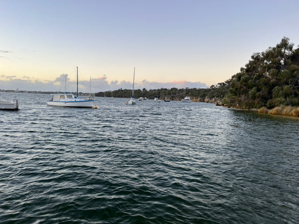 Perth Scuba club night dive at Blackwall Reach 