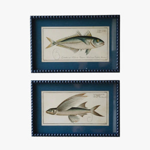 Framed Fish Prints - Calypso Cottage- Luxury Resort Lifestyle 