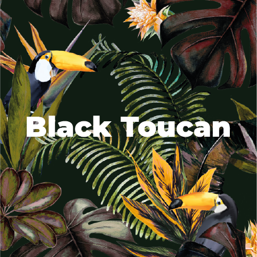 Black Toucan