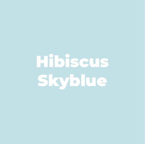 Hibiscus Skyblue