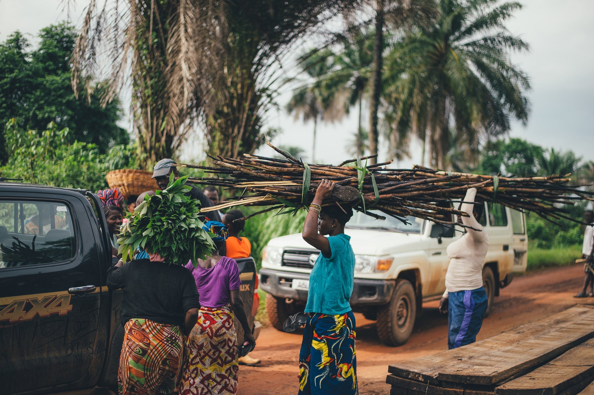 Gobe Reforestation