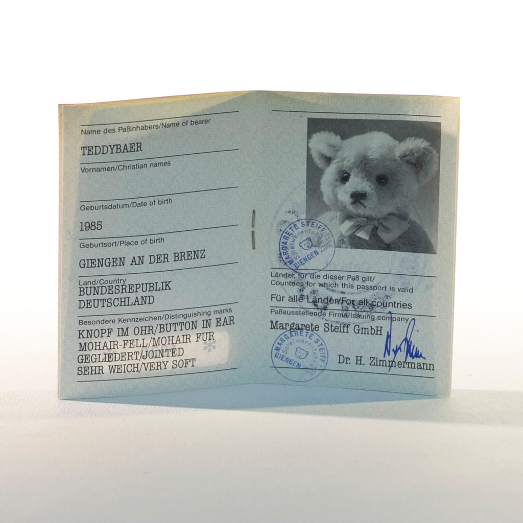 teddy bear passport