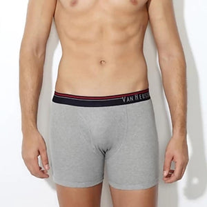 Van Heusen Men Brief Platinum-20002