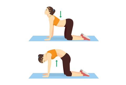4 Quick Stretches to Relieve Back Pain