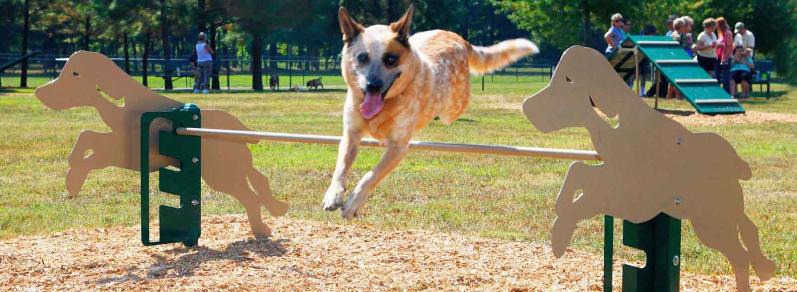 Rover Jump Over - BarkPark - Dog Park Equipment - Park Warehouse