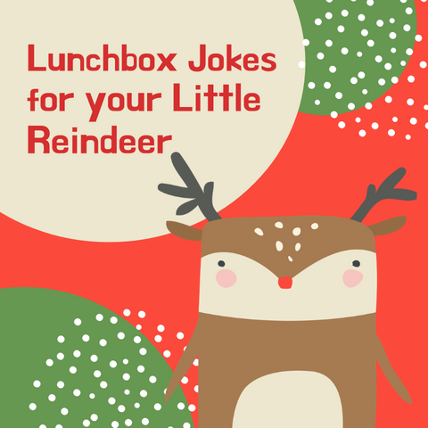 Reindeer Jokes for Kids