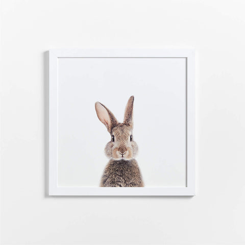 Framed Baby Bunny Art
