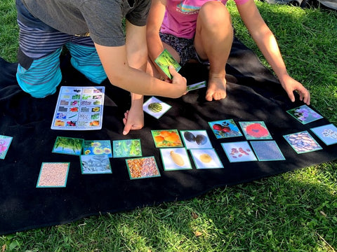 Children working with Montessori 123 seed to adult plant matching