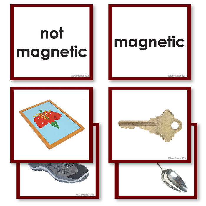 Magnetic Or Non Magnetic Photograph Sorting Cards - 