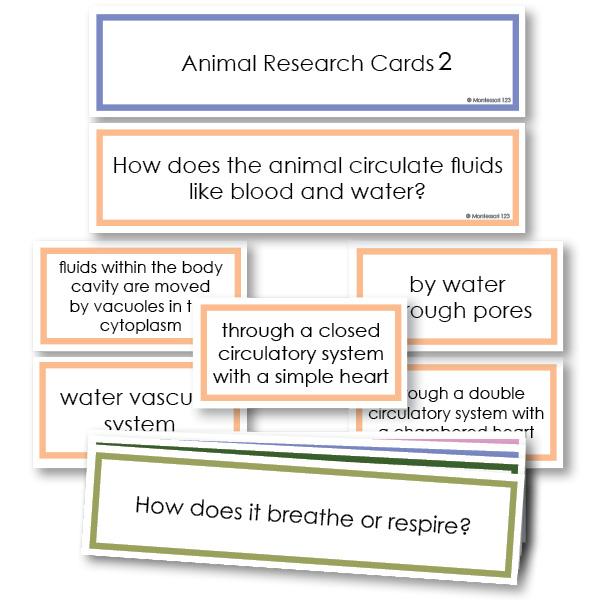 Animal Research Classification Questions Level 2 | Montessori 123 - $14.95