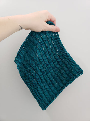 Everyday Essential Dishcloth