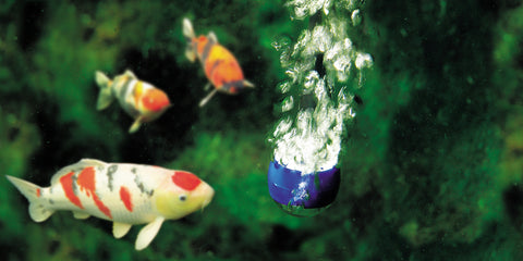 Luftsten i havedammen til dine fisk