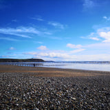 Beachcombing 