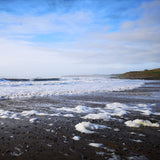 Beachcombing 