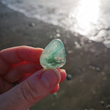 Beachcombing