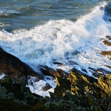 Beachcombing