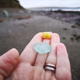 Beachcombing