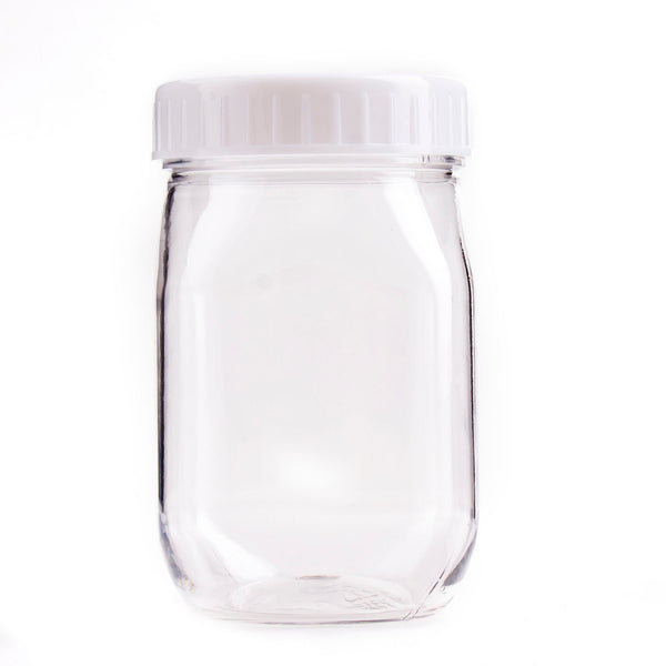 Darice Mini Glass Jar with Locking Lid: Clear, 3 x 3 inches