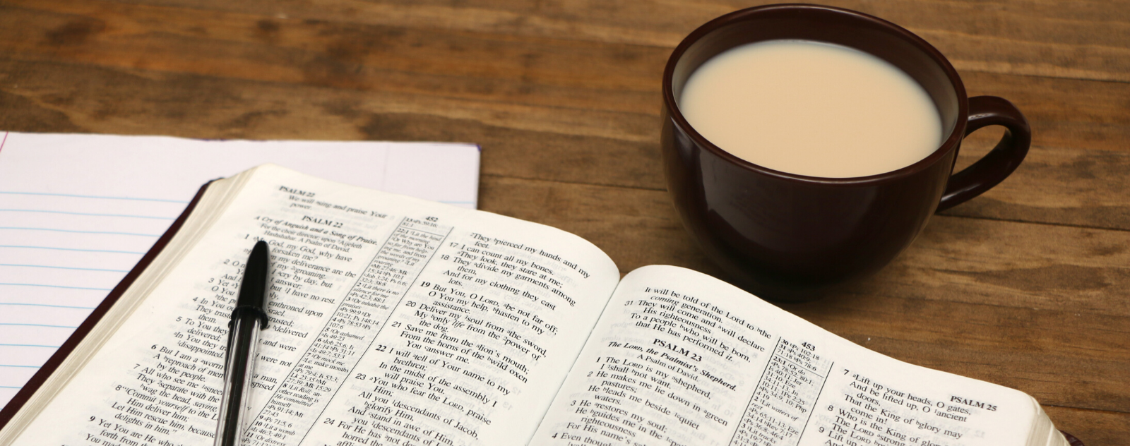 Where to Start A Bible Study