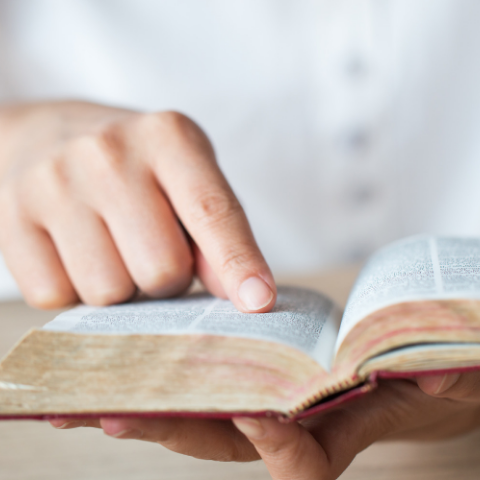 What to Read in the Bible for Encouragement