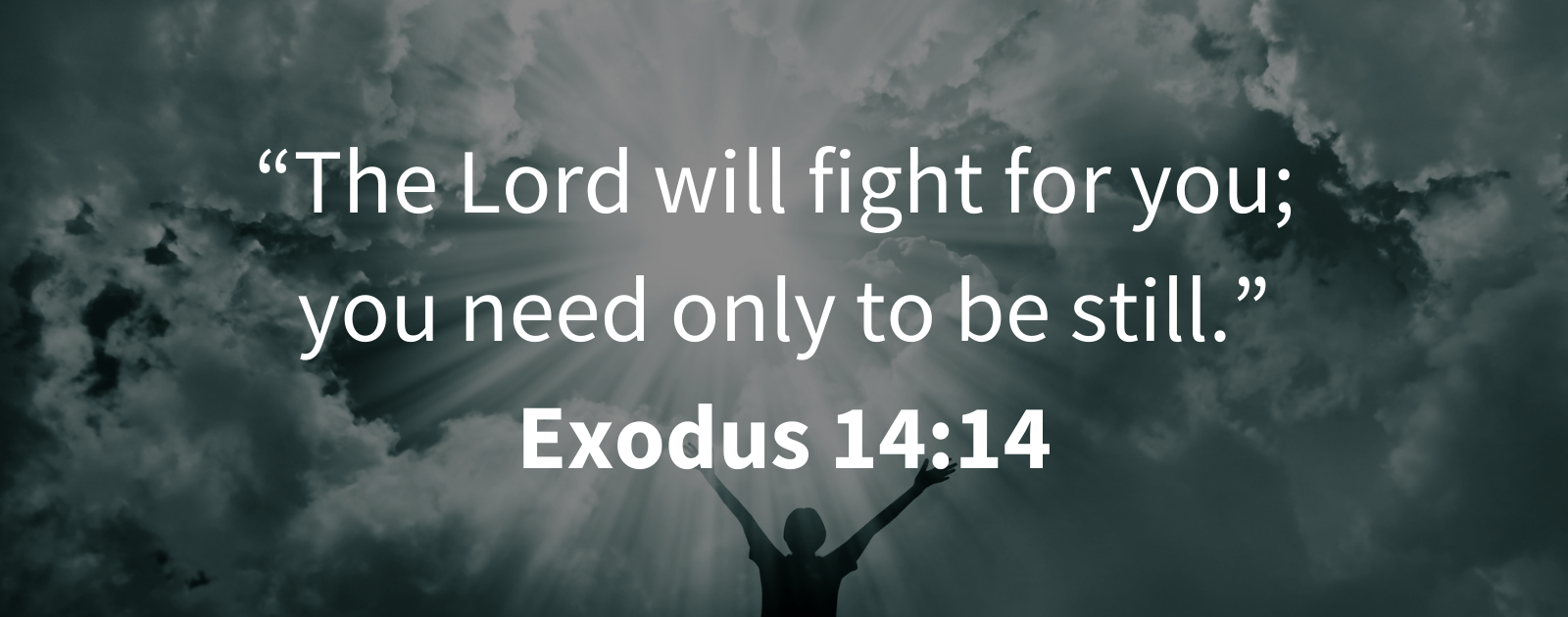 Exodus 1414 The LORD shall fight for you and you shall hold your peace