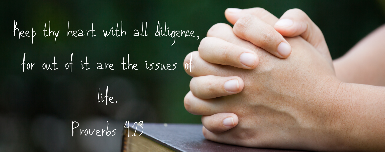 keep thy heart with all diligence for out of it are the issues of life