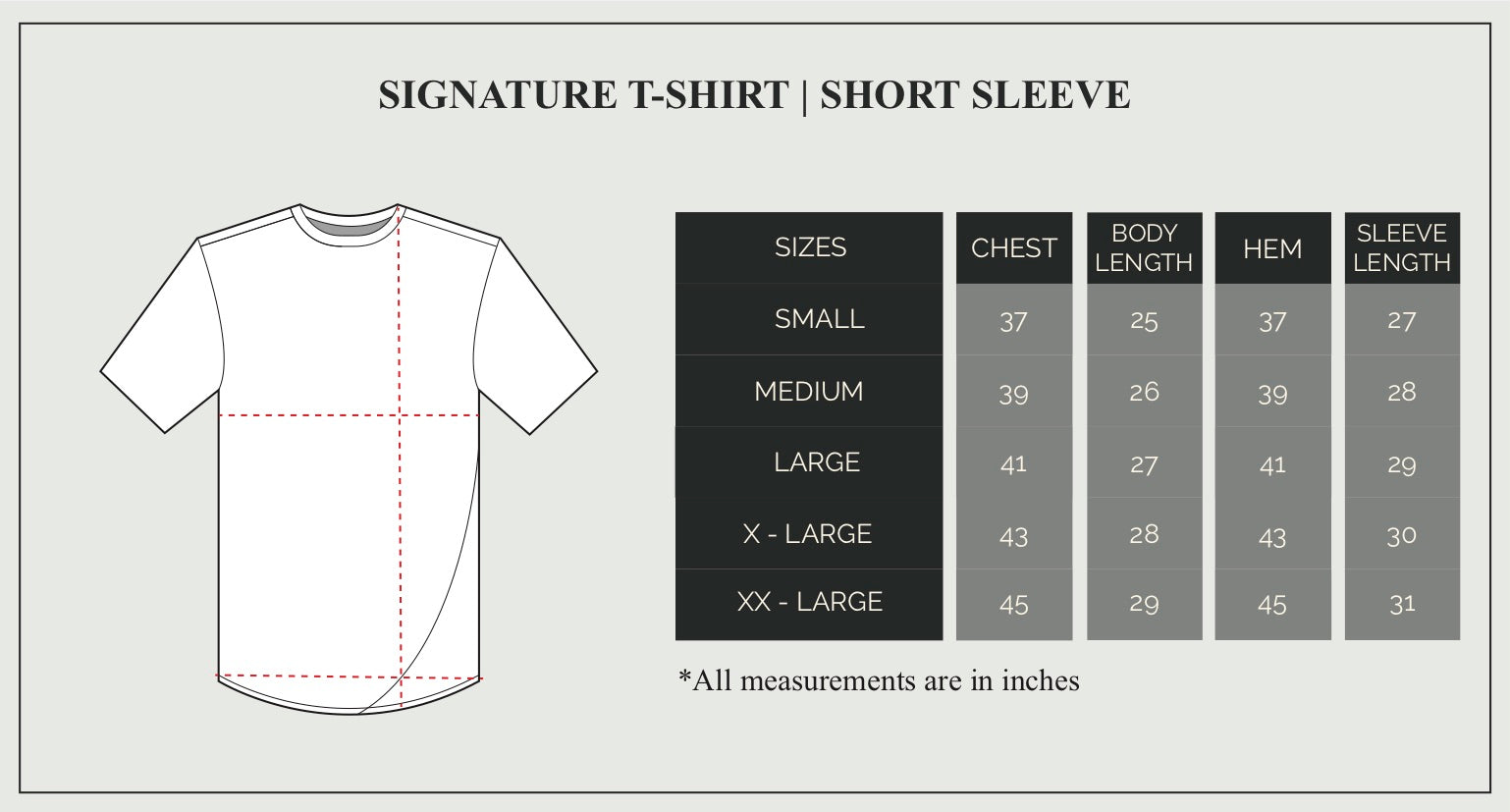 Signature T-Shirt Size Guide
