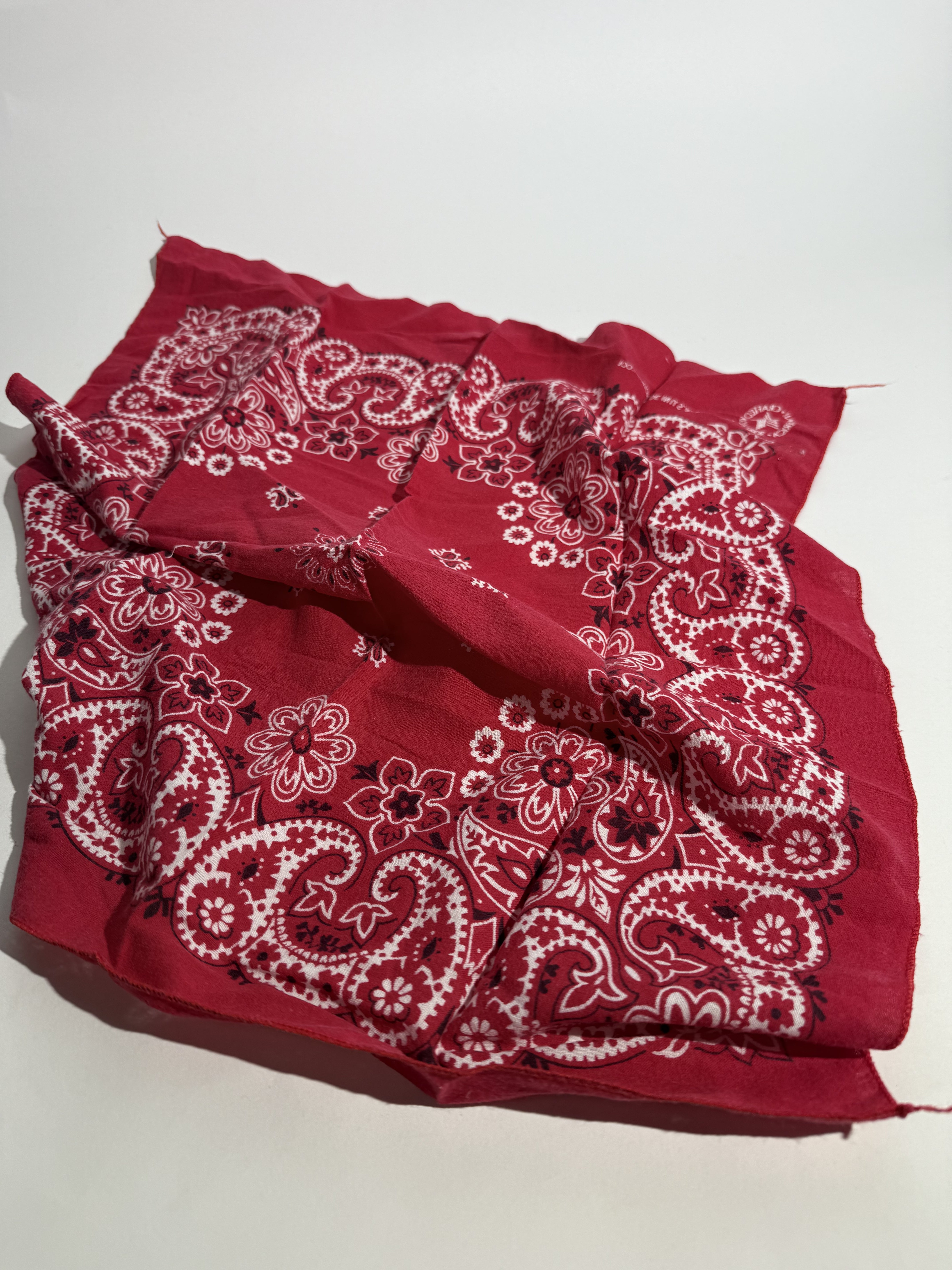 Red Floral Paisley Bandana
