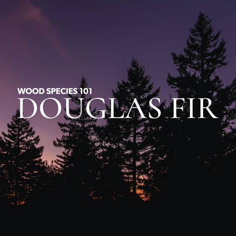 RealCraft Wood Species 101 series: Douglas Fir