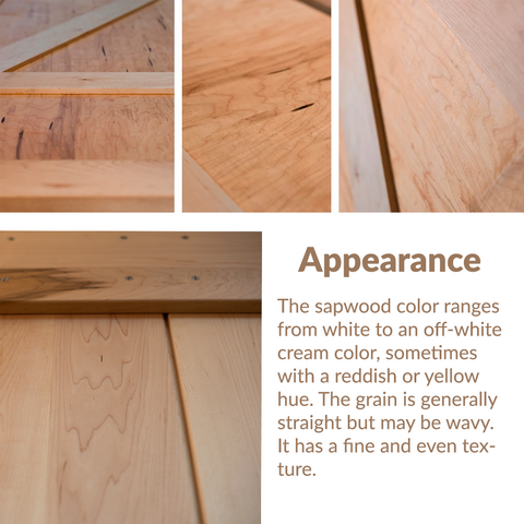 RealCraft Wood Species 101 Series: Maple. Wood lumber appearance and and characteristics 