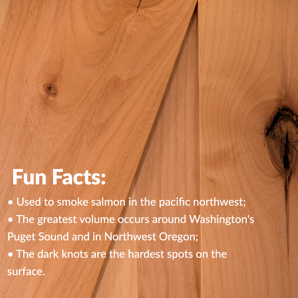 fun facts about Knotty Alder