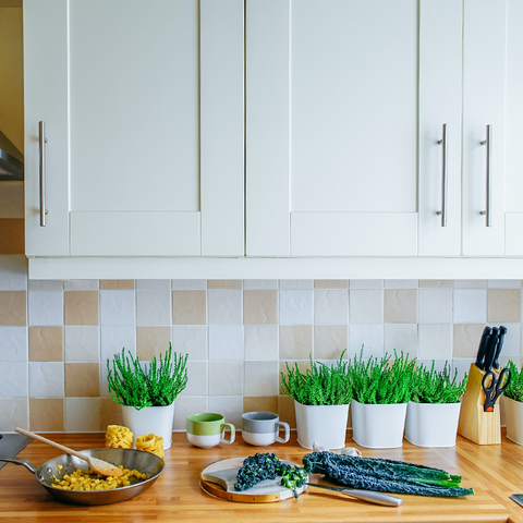 Butcher Block Countertop minimalist pastel decor with titles