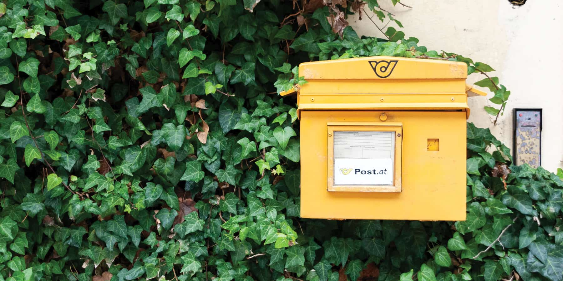 Yellow mailbox installed on a wall surrounded by plants and shrubs.