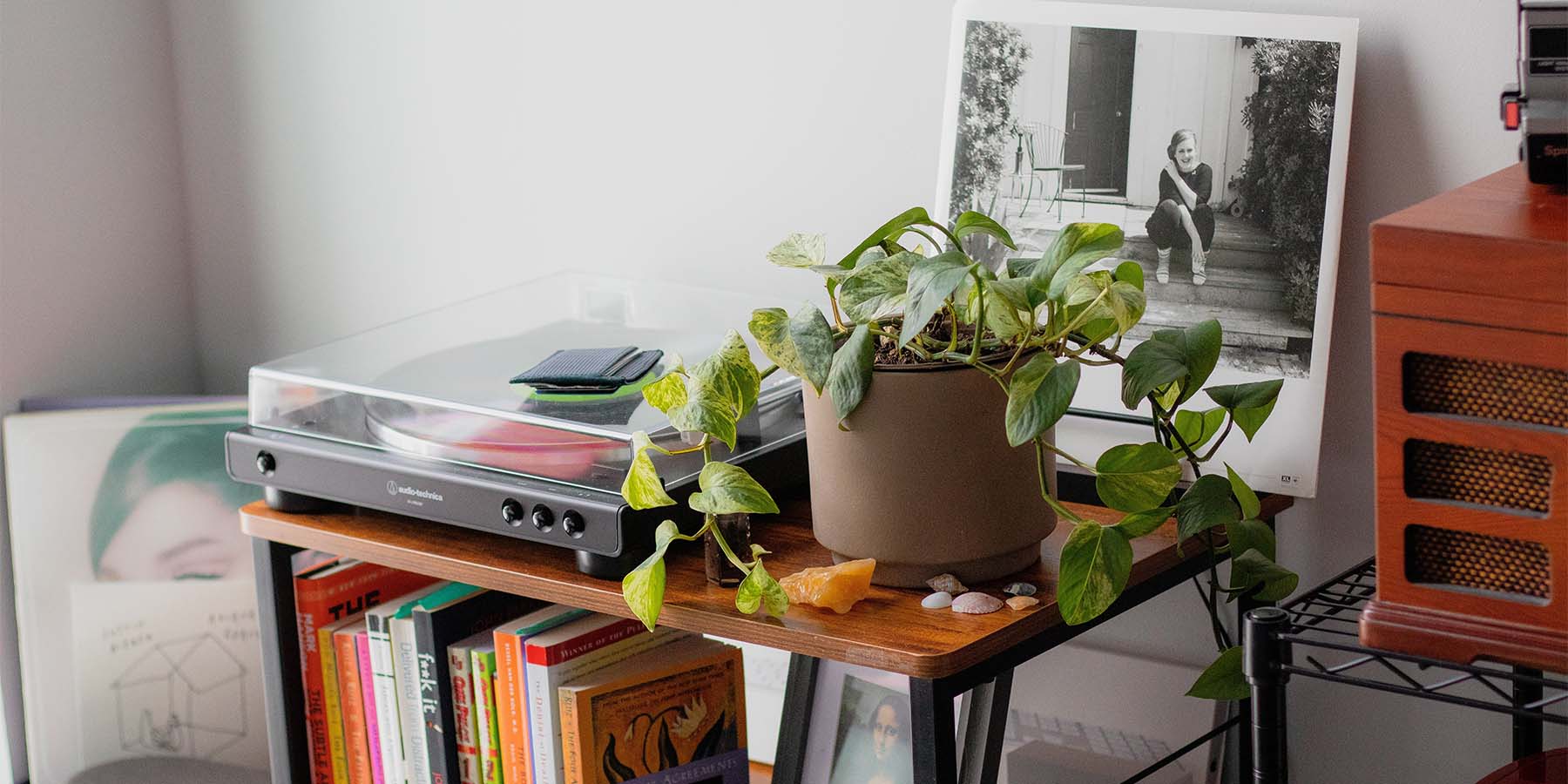 Turntable with a potted plant next to it.  There are small crystals, records, and books next to to it.