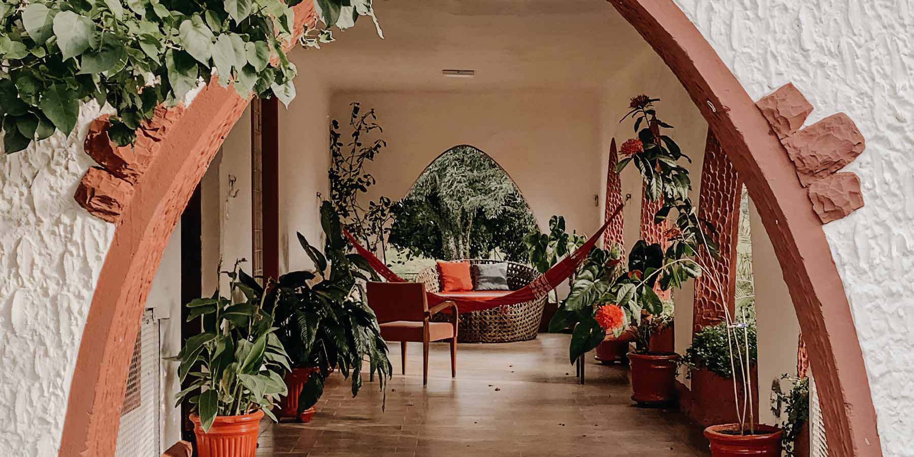 hammock on sun room surrounded by plants.