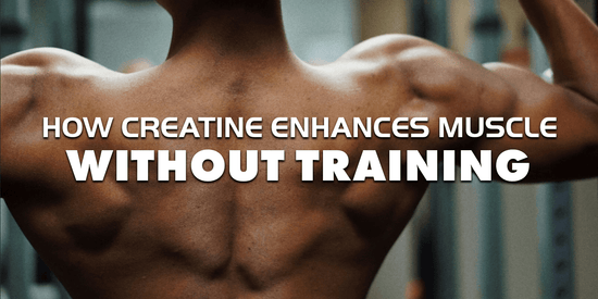 how creatine enhances muscle without training