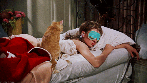 DOLLY GOLIGHTLY Breakfast @ Tiffany's ginger 'CAT' plush toy collectib –  DOLLY by Le Petit Tom ®