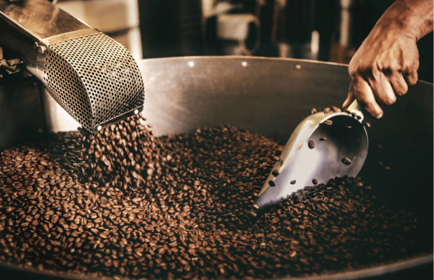 Best Coffee Beans