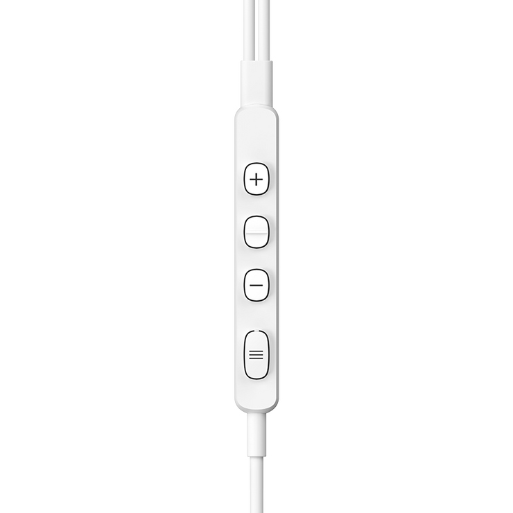 Rayz Pro Earphone Pioneer Rayz