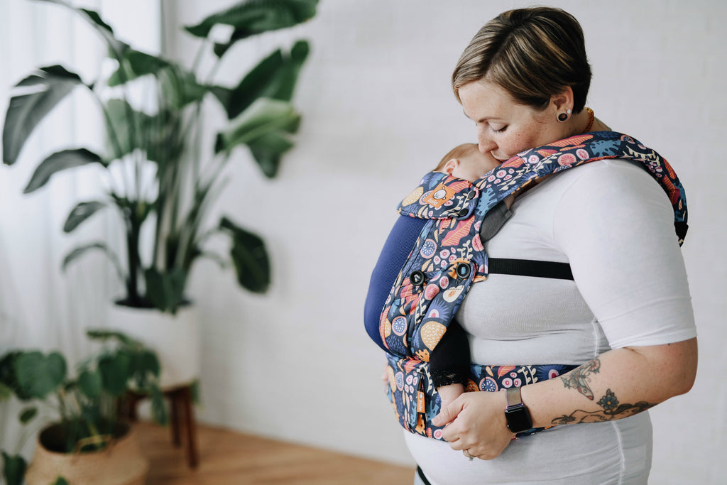 tula baby carrier newborn