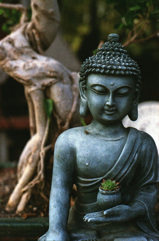 Boddhi-Baum - Buddha - Juwelanda