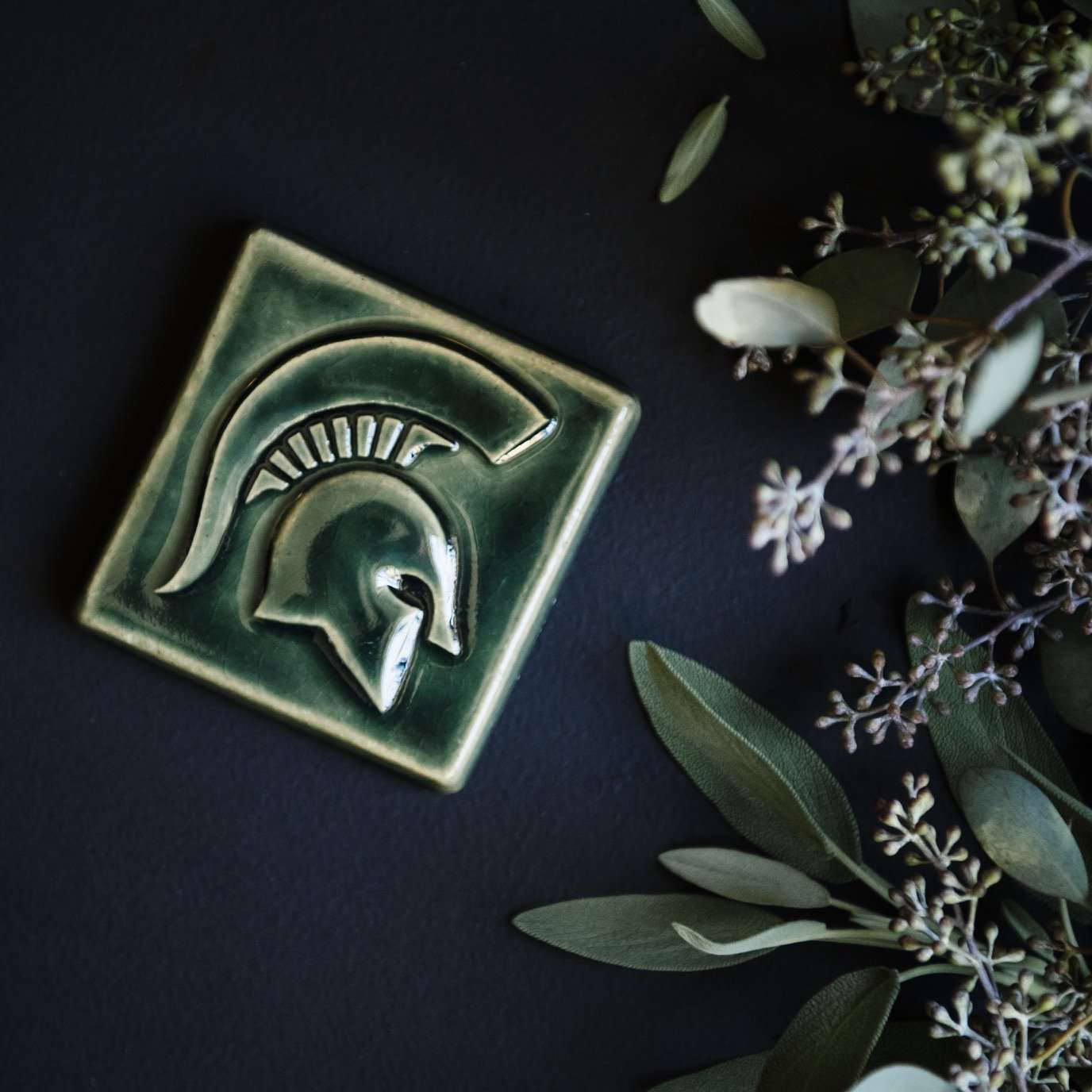 Michigan State University Spartan Tile Tile Pewabic Pottery