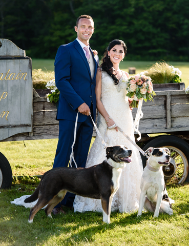 Dog Ring Bearer | How to Train Your Dog to Be the Perfect Wedding Ring  Bearer - YouTube